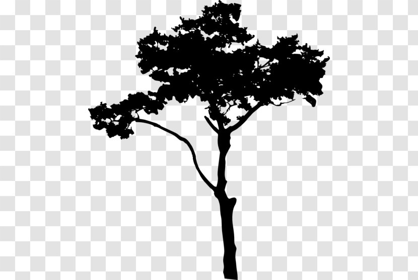 Silhouette Clip Art - Tree - Top Transparent PNG