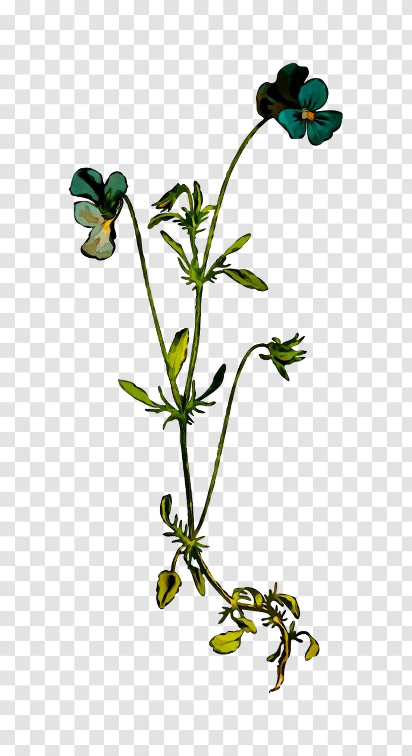 Flower Twig Plant Stem Leaf Plants - Flowering - Silhouetteline Boutique Transparent PNG