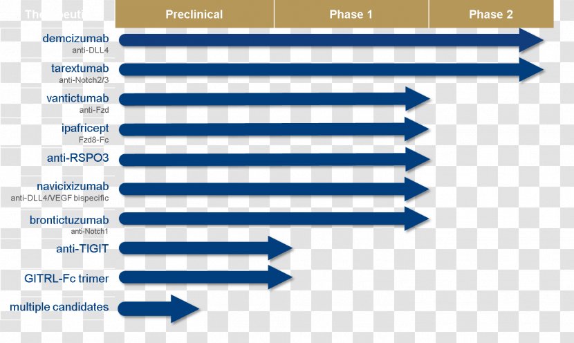 Document Web Analytics Line Organization Angle - Text Transparent PNG