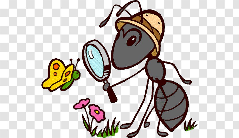 Ant Insect Cartoon Transparent PNG
