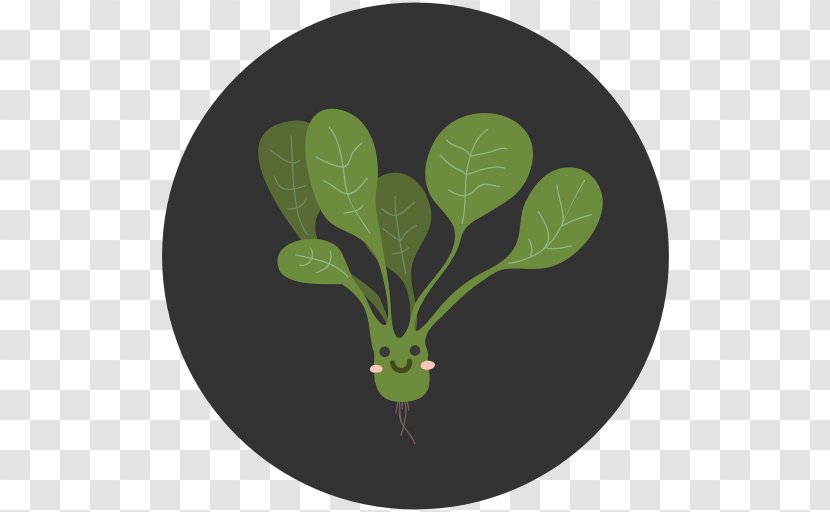 Spinach Vegetable - Green Transparent PNG