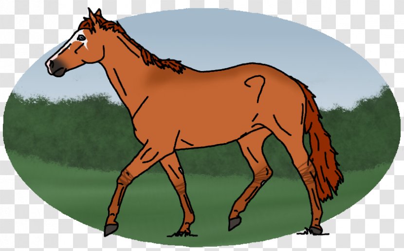 Mule Foal Stallion Mare Colt - Mane - Glory Transparent PNG