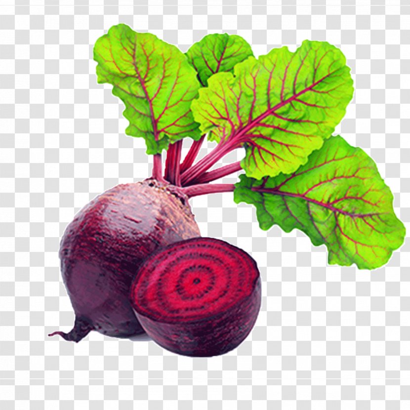 Organic Food Juice Sugar Beet Beetroot Vegetable - Sweetness Transparent PNG