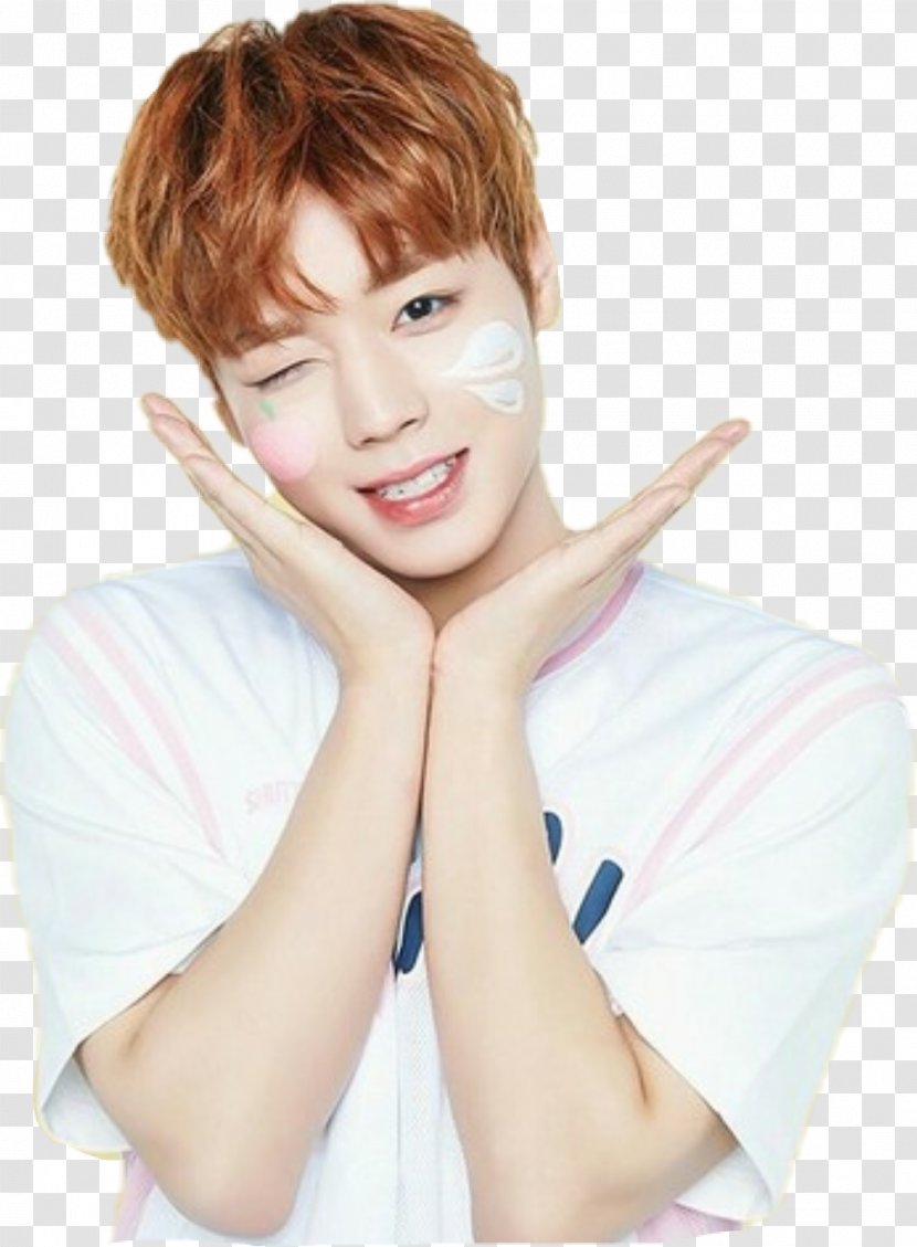 Park Jihoon Wanna One Innisfree Produce 101 Season 2 - Watercolor - Kang Daniel Transparent PNG