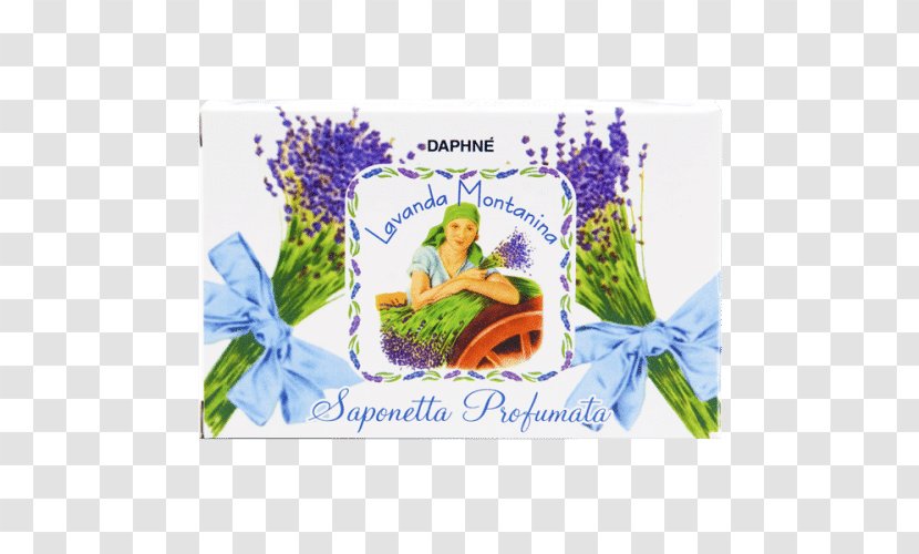DAPHNÉ Sanremo Soap Lavender Perfume Cosmetics Transparent PNG