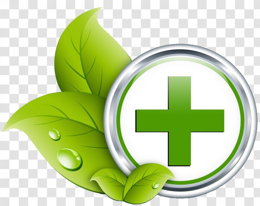 Health Care Medicine Icon - App Store - Green Healthcare Transparent PNG