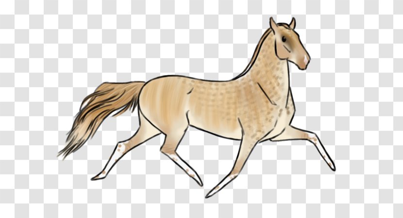Mane Mustang Foal Stallion Colt - Salvador Dali Transparent PNG