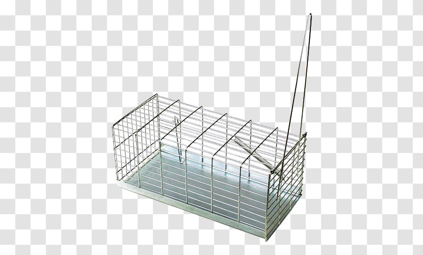 Rodent Rat Mousetrap House Mouse Trapping Transparent PNG