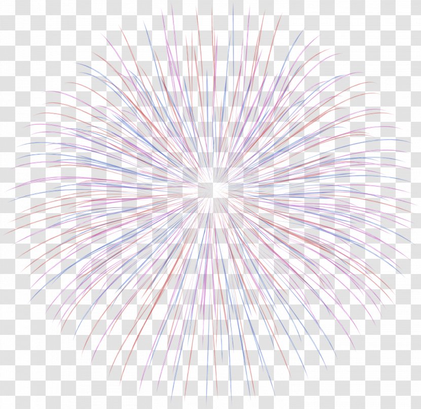 Purple Lilac Violet Line Symmetry - Fireworks Transparent PNG