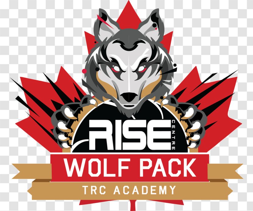 The Rise Centre Sport Academy Tournament School - Basketball Transparent PNG