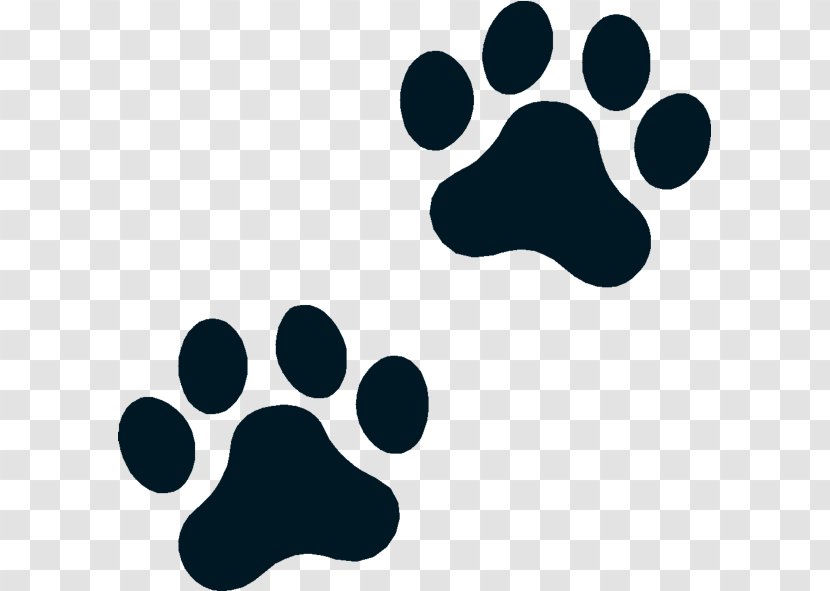 Polydactyl Cat Dog Puppy Kitten - Dogcat Relationship - Boston Terrier Transparent PNG