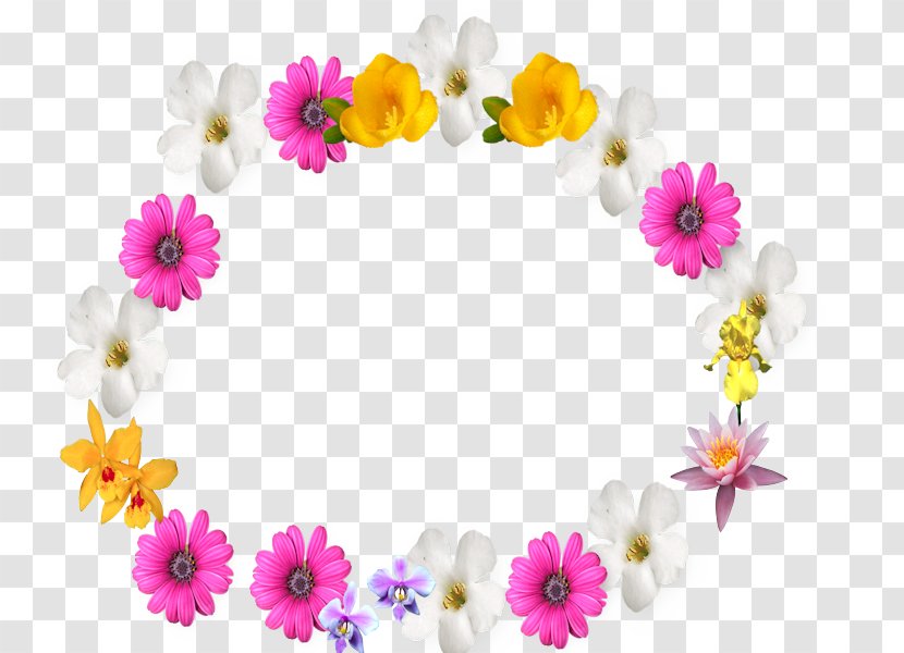 Floral Design Picture Frames Flower - Digital Art - Border Frame Transparent PNG