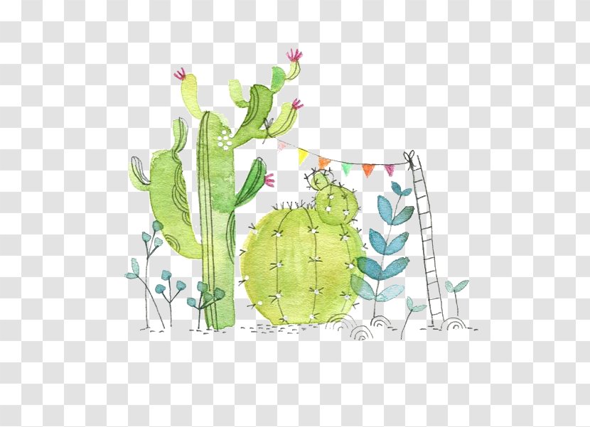 Cactaceae Watercolor Painting Paper Succulent Plant Illustration - Floral Design - Cactus Transparent PNG