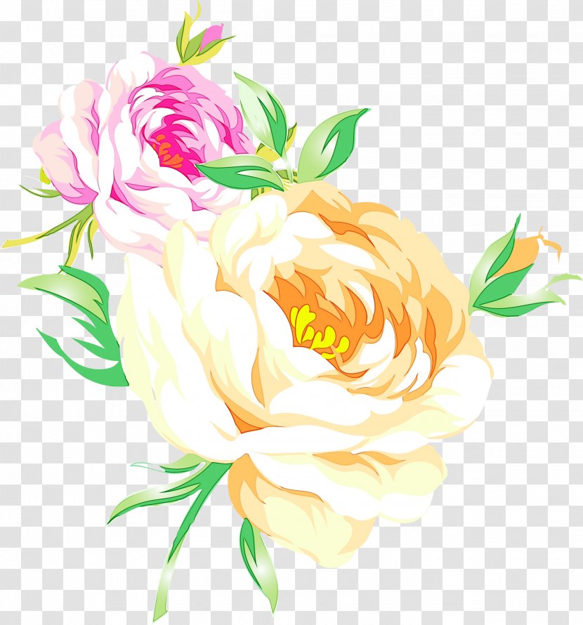 Garden Roses Cabbage Rose Floral Design Cut Flowers Illustration - Botany Transparent PNG