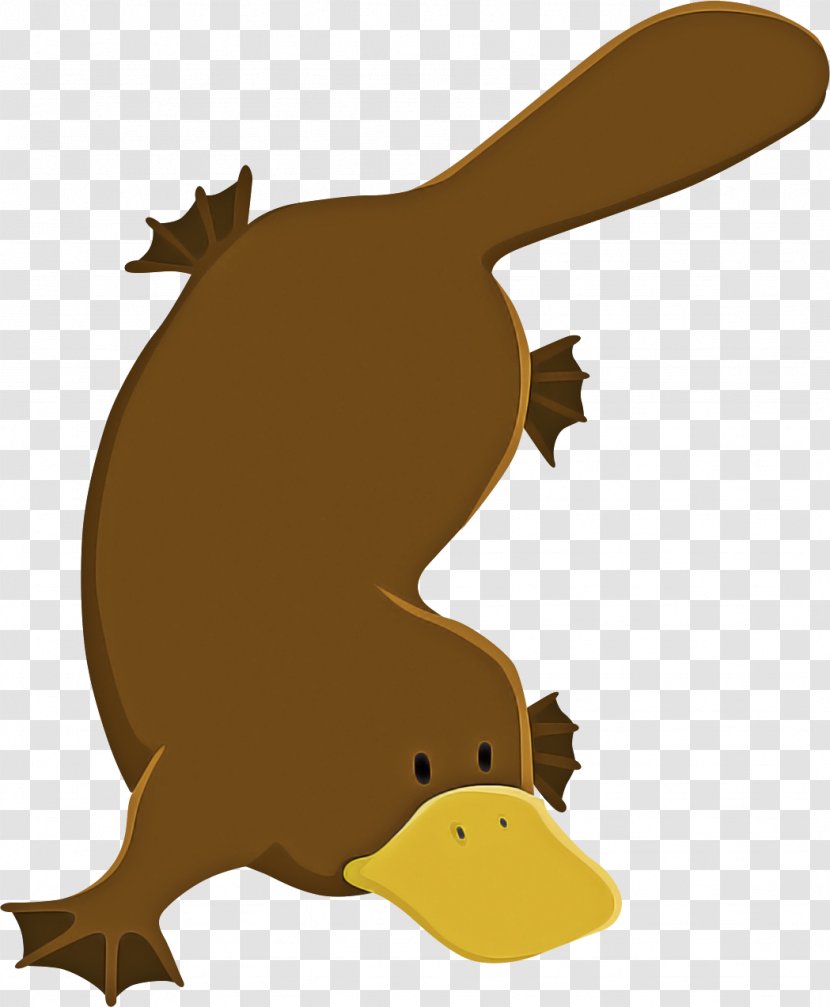Cartoon Platypus Beaver Monotreme Clip Art Transparent PNG