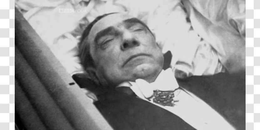 Bela Lugosi Count Dracula YouTube Horror - Head Transparent PNG