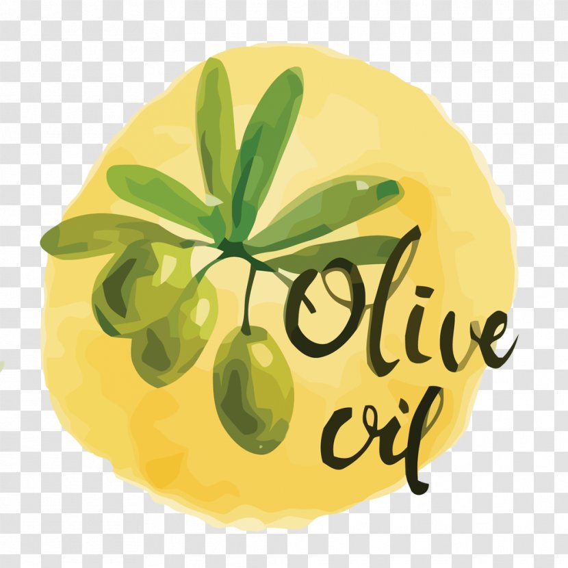 Olive Oil Bottle - Vector Painted Material Transparent PNG