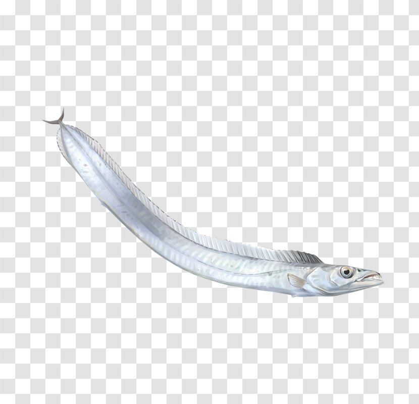 Sardine Oily Fish Reptile Capelin - Seafood - PESCADO Transparent PNG