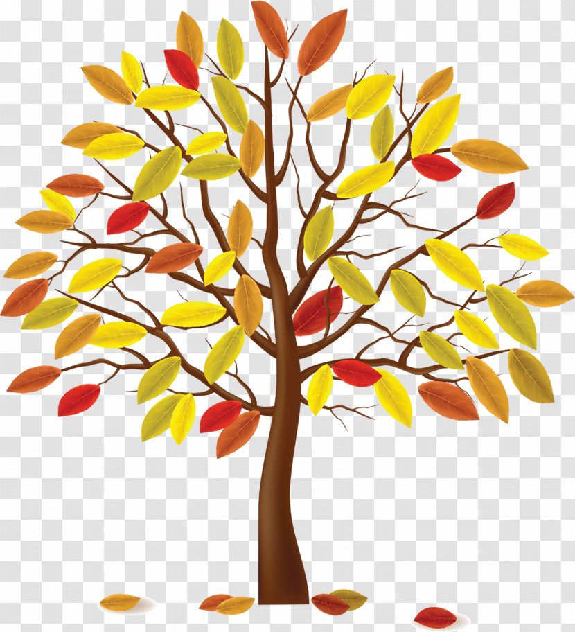 The Four Seasons Autumn Tree - Leaf Transparent PNG