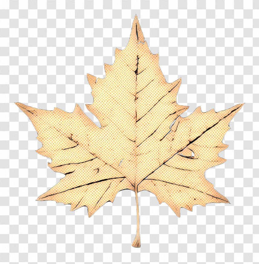Maple Leaf Christmas Ornament Day - Plant - Planetree Family Transparent PNG