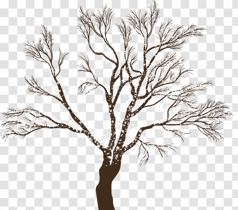 Tree - Autumn - Winter Transparent PNG