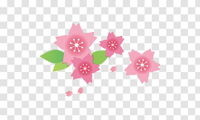 Cherry Blossom Illustration Pink Spring Japan - Petal - Sablon Transparent PNG