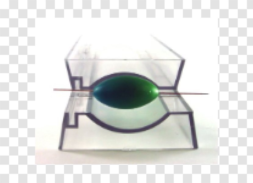 Bead Roller Hobby Glass .nl - Table - Oval Transparent PNG