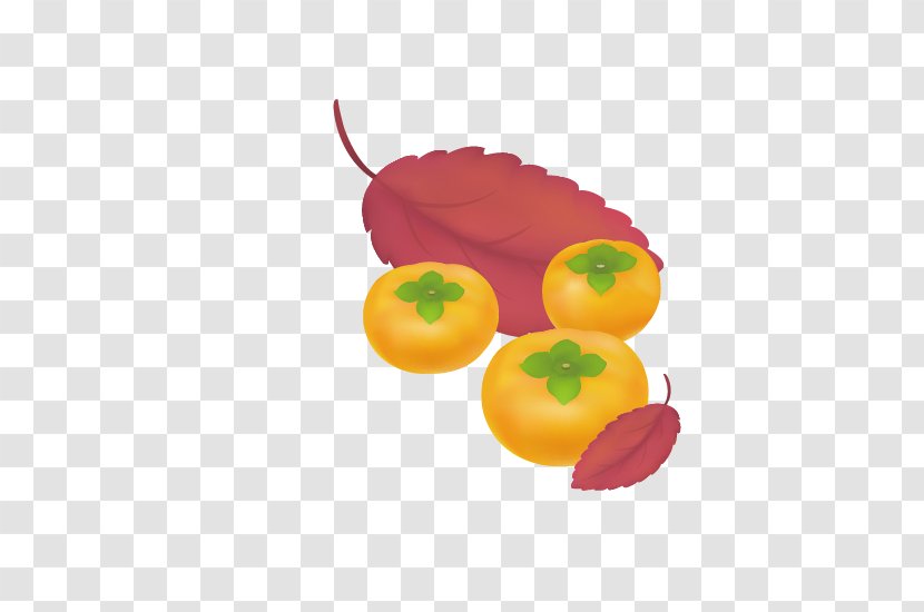 Japanese Persimmon Fruit Transparent PNG