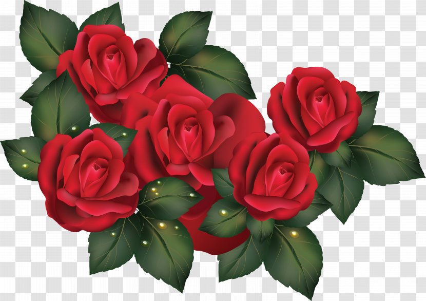 Rose Flower Wallpaper - Floristry Transparent PNG