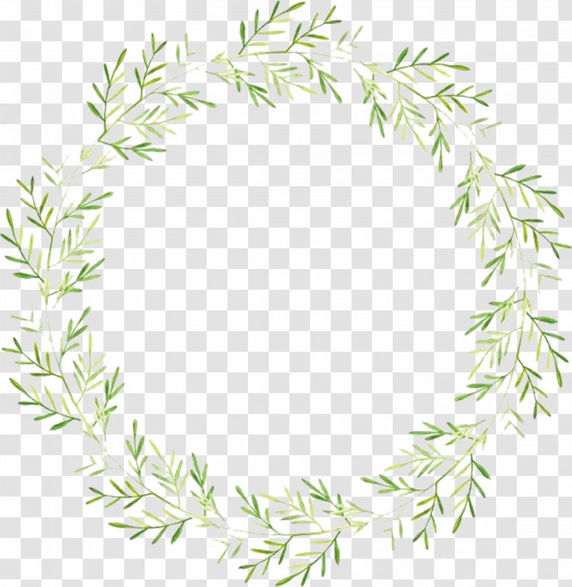 Leaf Wreath - Branch - Vines Are Available For Free Download Transparent PNG