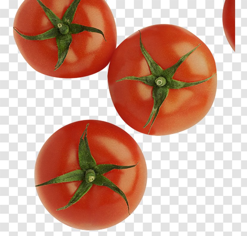 Plum Tomato Bush Royalty-free Food - Natural Foods Transparent PNG