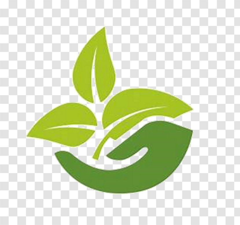 Green Leaf Logo - Conservation - Symbol Flower Transparent PNG