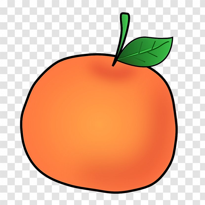 Orange - Tree Peach Transparent PNG