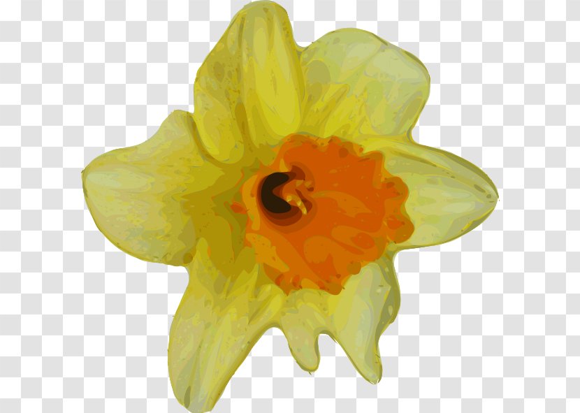 Flower Daffodil Clip Art - Narcissus - Crocus Transparent PNG