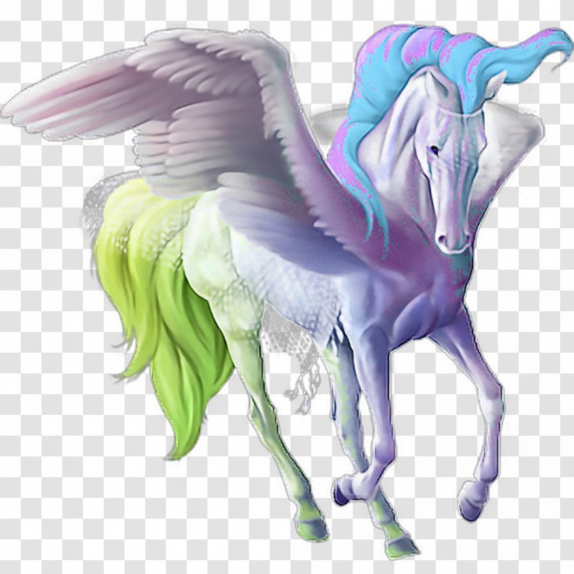 Howrse American Quarter Horse Pegasus Unicorn Thoroughbred - Star Stable Transparent PNG