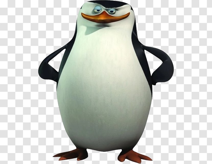 Madagascar Charming Villain Film DreamWorks Animation - High Definition Video - Penguins Transparent PNG