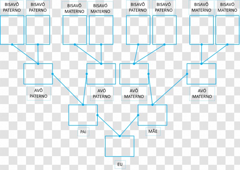 Family Tree Genealogy Great-grandparent Father - Olho Transparent PNG