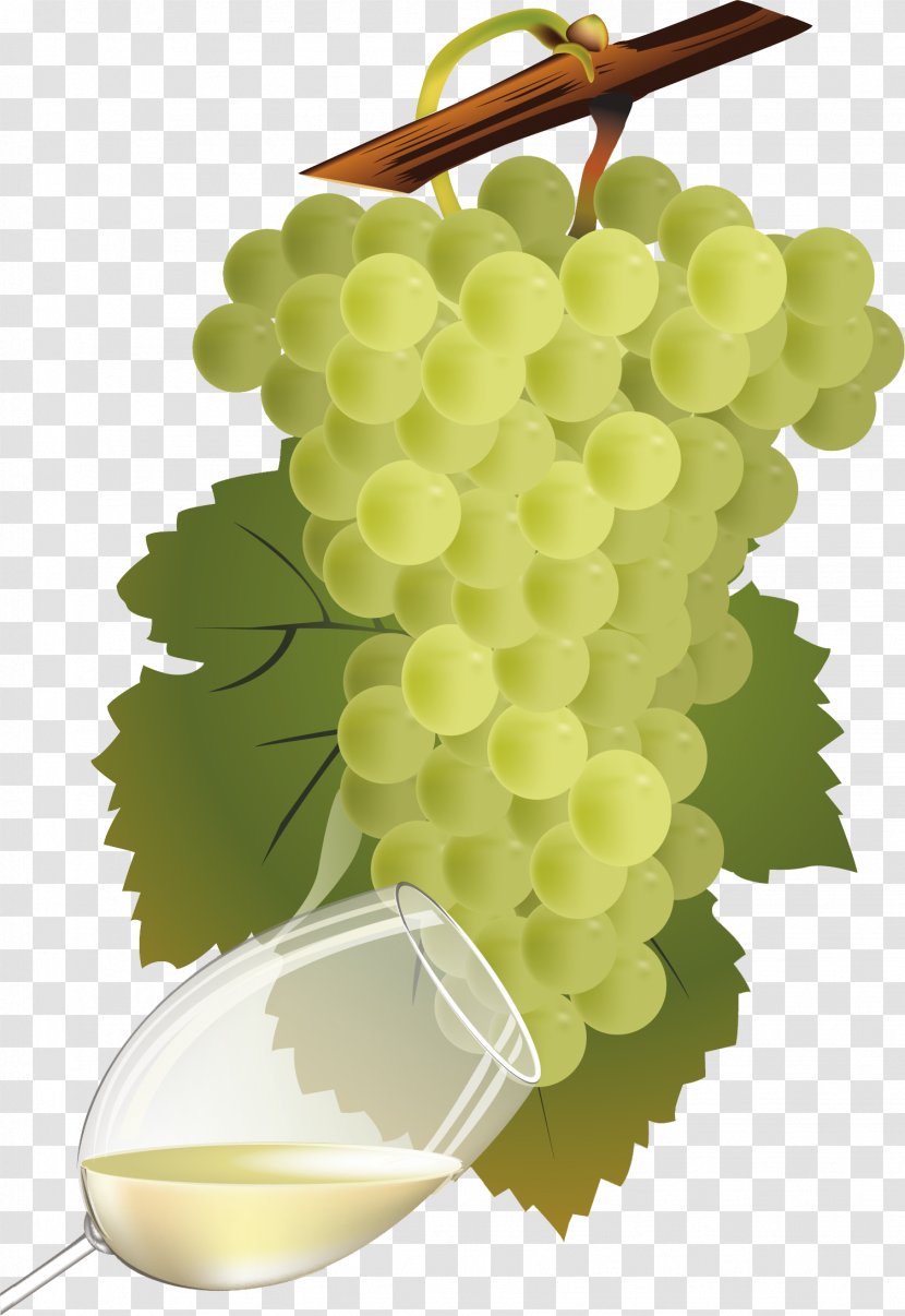White Wine Chenin Blanc Pinot Sauvignon - Vitis Transparent PNG