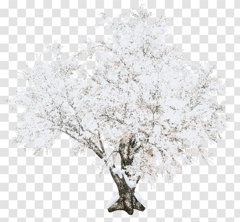 Snow Tree - Branch - Winter Transparent PNG