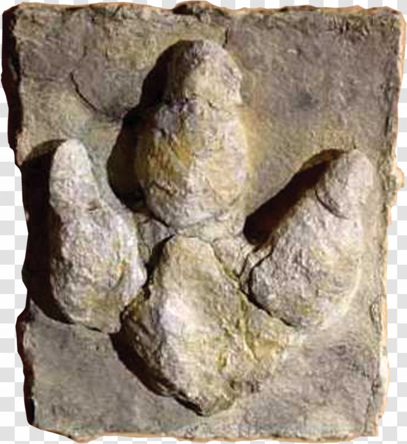 Iguanodon Dinosaur Footprints Reservation Rocky Mountain Resource Center - Allosaurus Transparent PNG