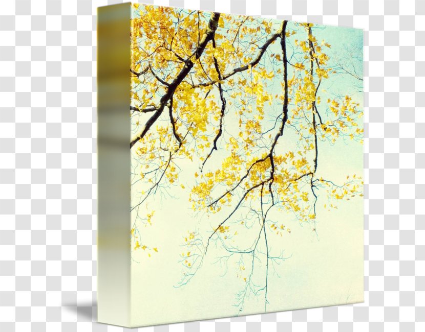 Gallery Wrap Art Canvas Floral Design Transparent PNG