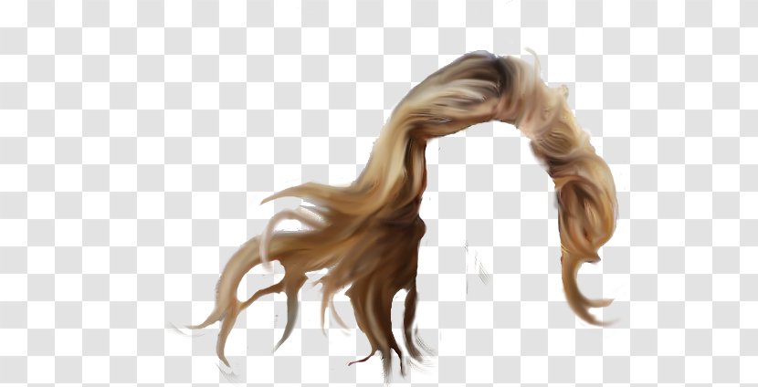 Long Hair Hairstyle Wig - Mythical Creature Transparent PNG