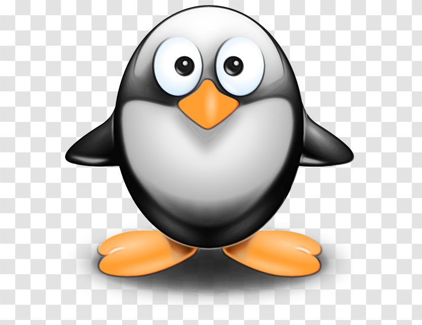 Penguin - Bird - King Beak Transparent PNG