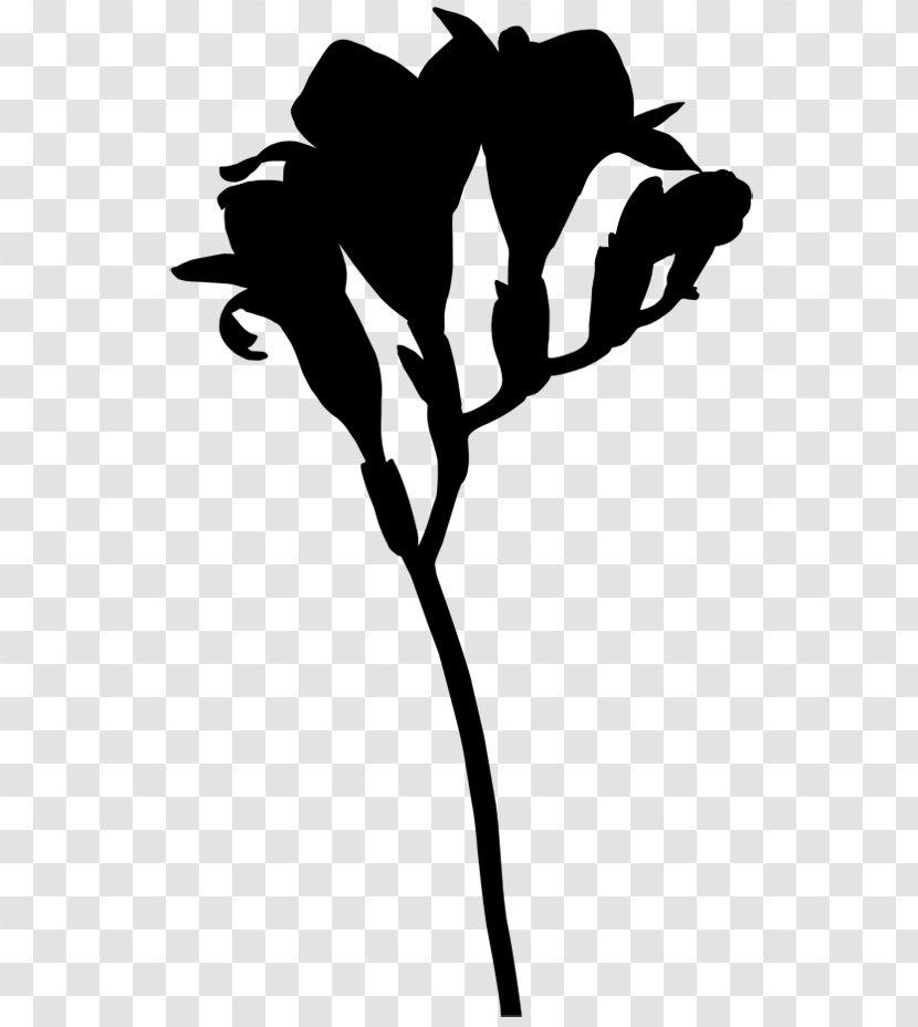 Clip Art Flower Plant Stem Leaf Silhouette - Blackandwhite Transparent PNG