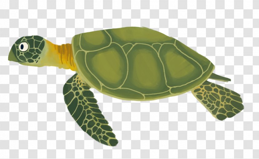 Sea Turtle Reptile Animation - Animated Cartoon Transparent PNG