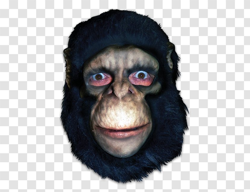 Common Chimpanzee Gorilla Mask Monkey Primate - Face - Apes And Monkeys Transparent PNG