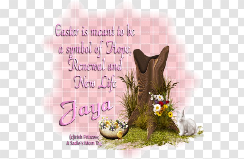 Cat Easter Font Transparent PNG