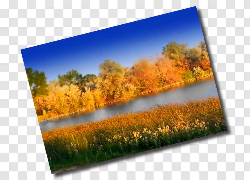 Ecosystem Meadow Nature Story - Sky - Erhai Lake Bridge Free And Transparent PNG