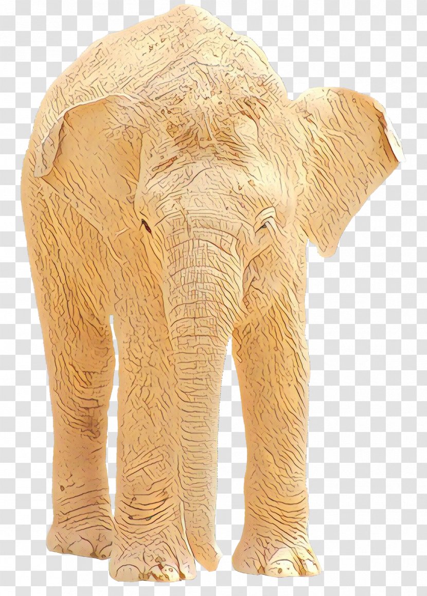Indian Elephant African Bush Ganesha Giddy - Wildlife - Animal Transparent PNG