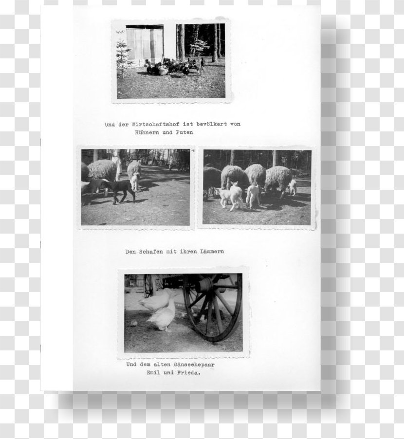 Picture Frames Brochure - History - Design Transparent PNG